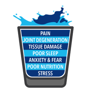 Has your cup overflowed? Understanding the Cup Analogy for Pain and Injury