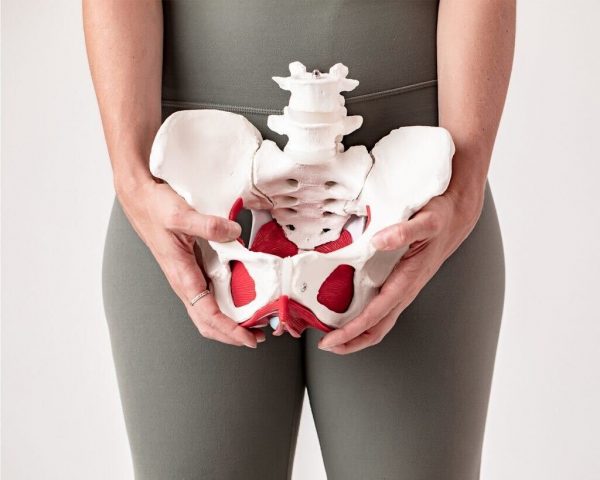 Limbr - Women’s Pelvic Health